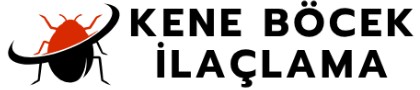 Kene Böcek İlaçlama